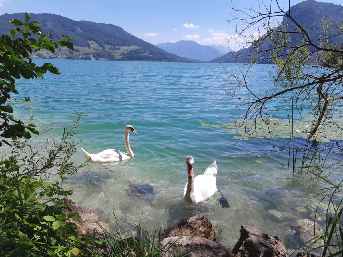 Apartment Am Wolfgangsee ストローブル エクステリア 写真